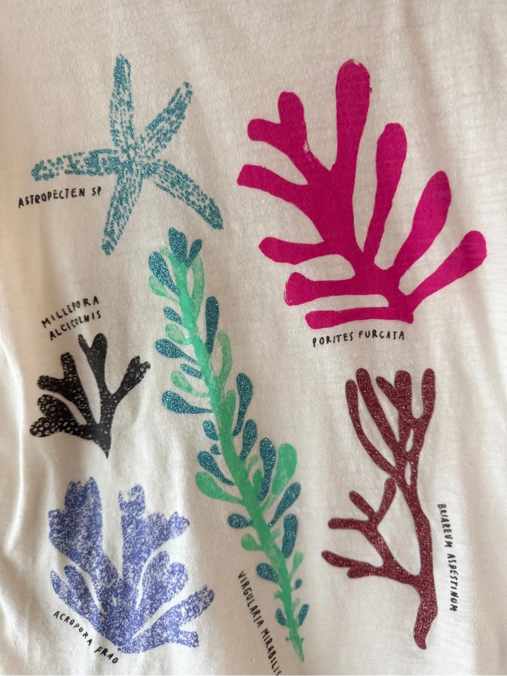 J.Crew Crewcuts Girls Under The Sea Graphic Tee Coral Garden Size Small S 6-7